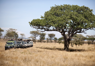 Serengeti National Park